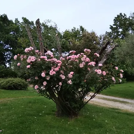 A Casa Di Luciana *